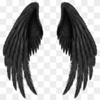 #blackwings #brokenangel #wings #freetoedit - Black Angel Wings Png, Transparent Png