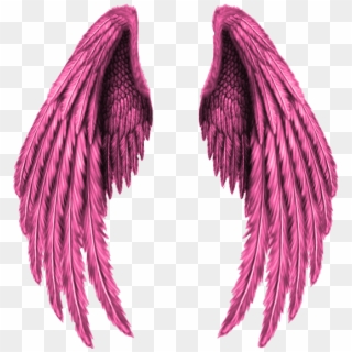 #wings #pink #freedom #freetoedit - Gold Angel Wings Png, Transparent Png
