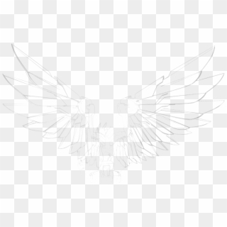 Wing Shaped Contours And Also Resembles The Falcon's - Clear Butterfly Wings Png, Transparent Png
