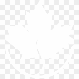 Albert Lawn And Snow Inc - Leaf In Canada Flag, HD Png Download