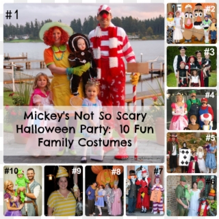Mickey's Not So Scary Halloween Party-10 Fun Family - Diy Costumes For Mickey's Not So Scary Halloween Party, HD Png Download