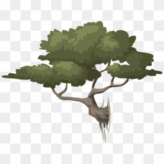 Tree Nature Green Leaves Png Image - Vector Bonsai Png, Transparent Png