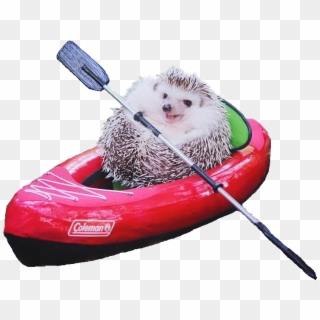 E - Tiny Hedgehog Goes Camping, HD Png Download