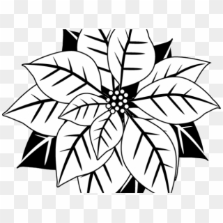 Poinsettia Clipart Black And White - Black And White Mistletoe, HD Png Download