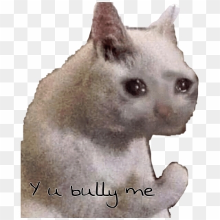 U Bully Cat Sad Meme Freetoedit - Sad Cat Meme, HD Png Download