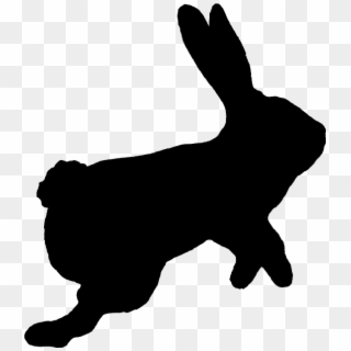 #rabbit #bunny #hare #silhouette #animal #easterbunny - Dog, HD Png Download