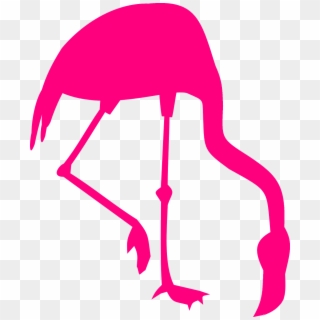 Flamingo,bird,walk Vector Graphics - Pink Flamingo Clip Art, HD Png Download