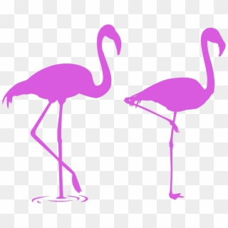 #mq #pink #flamingo #flamingos #silhouette - Contoh Gambar Siluet Hewan, HD Png Download