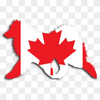 Canadian Flag Sammy Window Decal - Montreal Canada Flag, HD Png Download