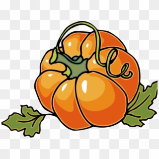 Pumpkin Vine Clipart - Pumpkin Plant Clipart, HD Png Download