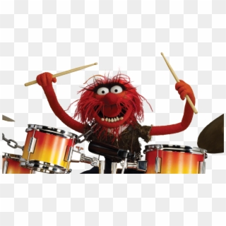 Leor Galil On Twitter - Animal Muppets Drummer, HD Png Download
