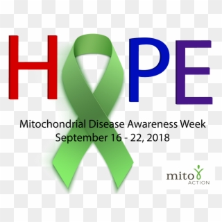 Download These Awareness Week Graphics - Mitochondrial Awareness Week 2018, HD Png Download