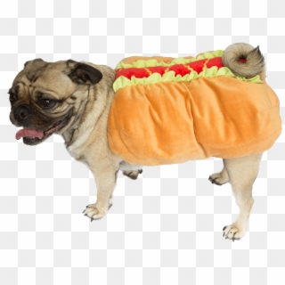 Zombie Hot Dog Costume Fancy Dress Ball Dog Beds And - Pug In Hot Dog Costume, HD Png Download