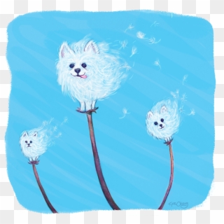 Posted - Maltese, HD Png Download