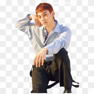 Chen Sticker - Kim Jongdae Blooming Days, HD Png Download