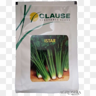 Clause - Clause Vegetable Seeds, HD Png Download