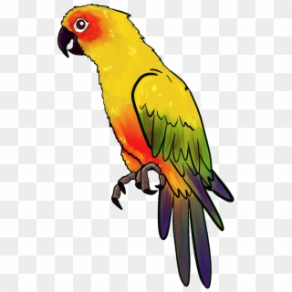 Bird Animal Birds - Parrot Drawing, HD Png Download