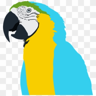Parrot, HD Png Download