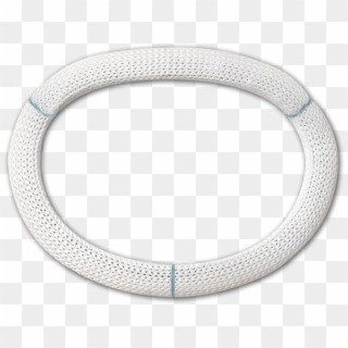 Physio Ii Annuloplasty Ring - Physio Ii Ring 5200, HD Png Download