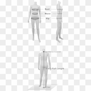 Measuring Along The Fullest Part Of Your Chest, Wrapping - Standing, HD Png Download