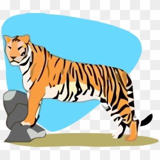Tigger On Rocks Clipart Png Image Download - Siberian Tiger, Transparent Png