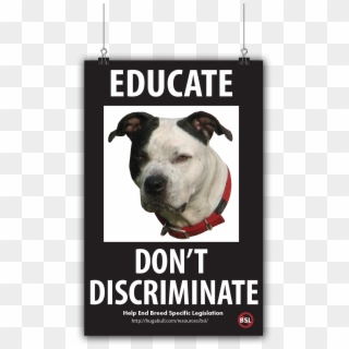 Public Service Announcement - Staffordshire Bull Terrier, HD Png Download