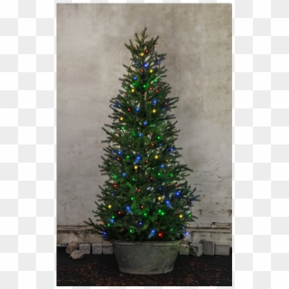 Christmas Tree Light Serie Led - Christmas Tree, HD Png Download
