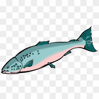 Salmon Clipart Pile, HD Png Download