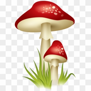 Fall Mushrooms Png Clipart Picture - Mushroom Clipart Png, Transparent Png