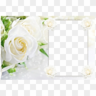 White Roses Photo Frame, HD Png Download