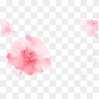 Cropped Kisspng Pink Cherry Blossom Cosmetology Wallpaper - Fondo Rosado Maquillaje Png, Transparent Png