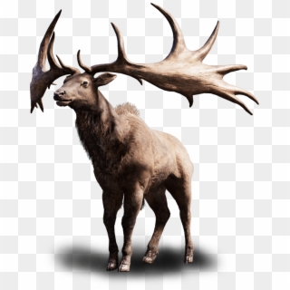 Banner Black And White Elk Far Cry Wiki Fandom Powered - Far Cry Primal Megaloceros, HD Png Download
