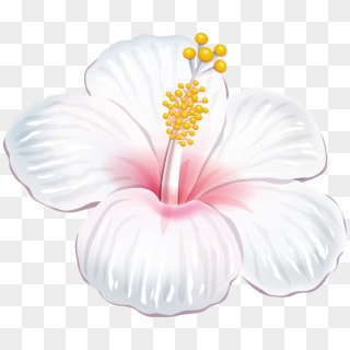 Luau Clipart Purple Hawaiian Flower - White Hibiscus Png, Transparent Png