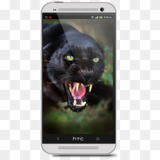 Angry Black Jaguar, HD Png Download