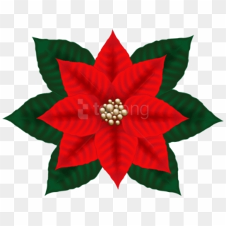 Free Png Christmas Poinsettia Png, Transparent Png