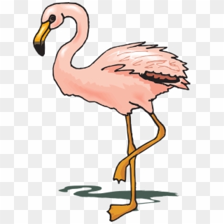 Image Transparent Download At Getdrawings Com Free - Cartoon Flamingo Transparent, HD Png Download