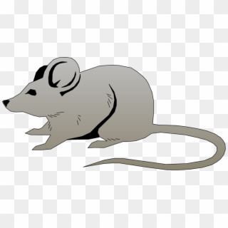 Mouse Free Vector 4vector - Mouse Clipart Png, Transparent Png
