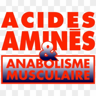 Acides Amines Anbolisme Rouge, HD Png Download