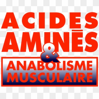Acides Amines Anbolisme Rouge, HD Png Download