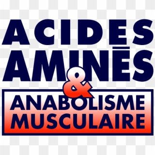 Acides Amines Anbolisme Bleu - Asthma Society Of Ireland, HD Png Download