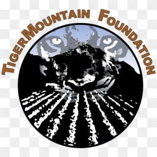 Tigermountain Foundation Mission And Models - Tiger Mountain Foundation, HD Png Download