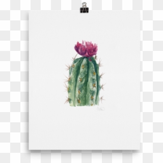 Cactus Flower - Weberocereus, HD Png Download