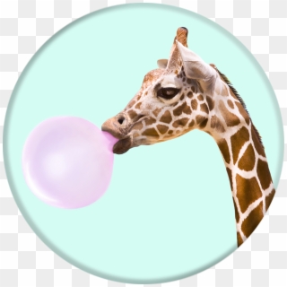 Collapsible Grip & Stand For Phones And Tablets - Bubblegum Giraffe Popsocket, HD Png Download
