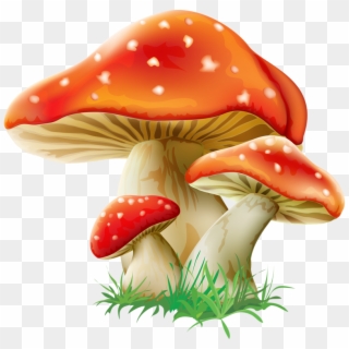 Clipart Wallpaper Blink - Mushroom Png, Transparent Png