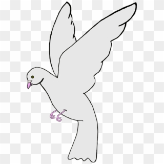 Ave Bird Paloma Pigeon White - Burung Merpati Putih Animasi, HD Png Download