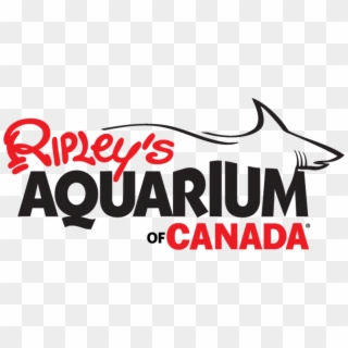 Destination Directory - Ripley's Aquarium Of Canada, HD Png Download