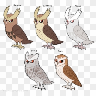 Illustration Pokemon Fanart Bird Owl Digital Pkmn Artists - Pokemon Variations Noctowl, HD Png Download