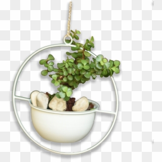 Grape, HD Png Download