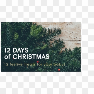 12 Days Of Xmas Giveaways, HD Png Download