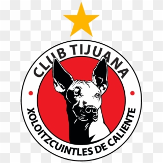 Club Tijuana Logo - Ohio Wesleyan Soccer Logo, HD Png Download
